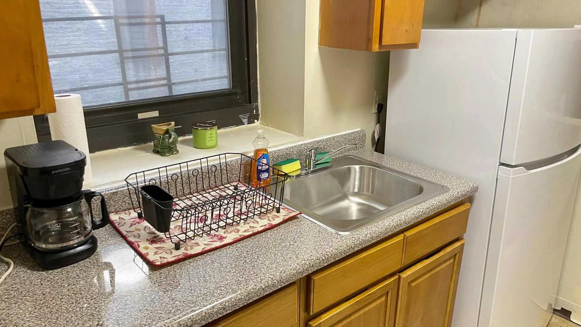 One Bedroom By Month Next To Bronx Zoo New York