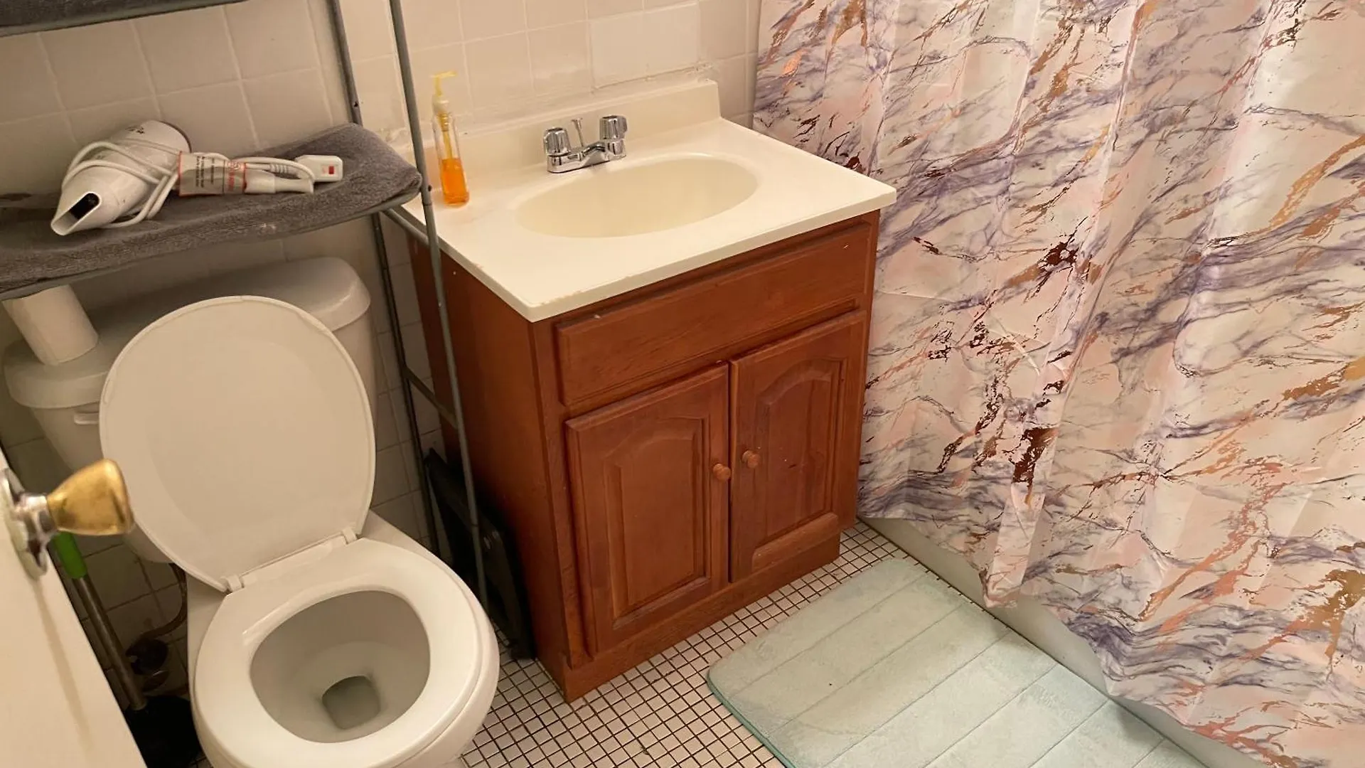 One Bedroom By Month Next To Bronx Zoo New York